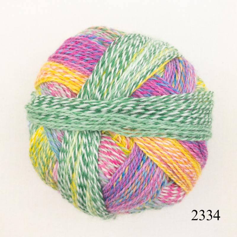 Schoppel Wolle Zauberball Crazy