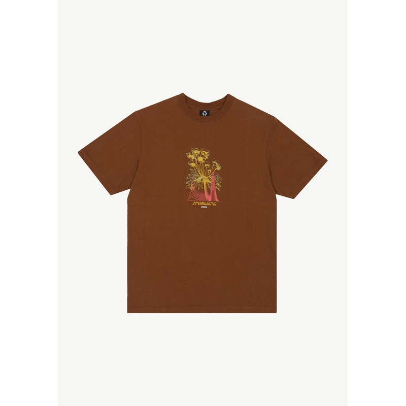 AFENDS Mens Gardener – Retro Graphic Tee – Toffee