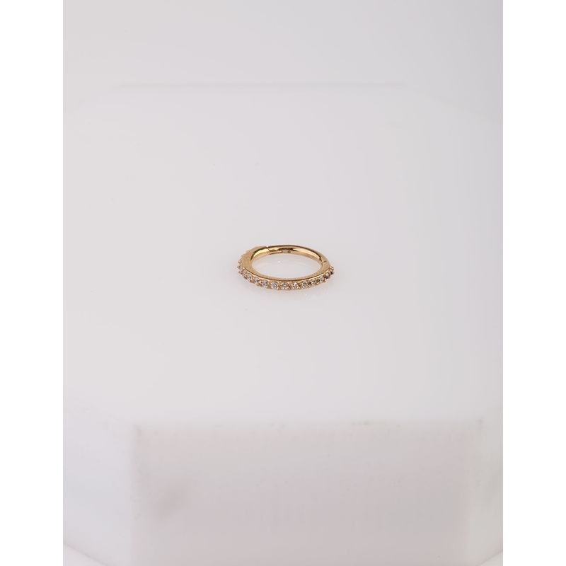 Gold Surgical Steel Hinged Ring Body Jewellery